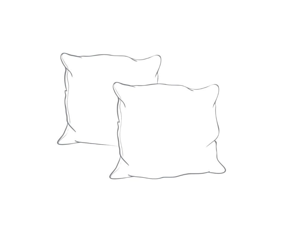 Sala Pair of scatter cushions