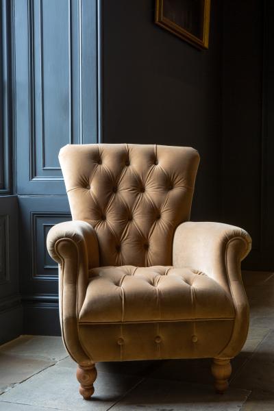 Donegal high back accent chair in Butterscotch velvet