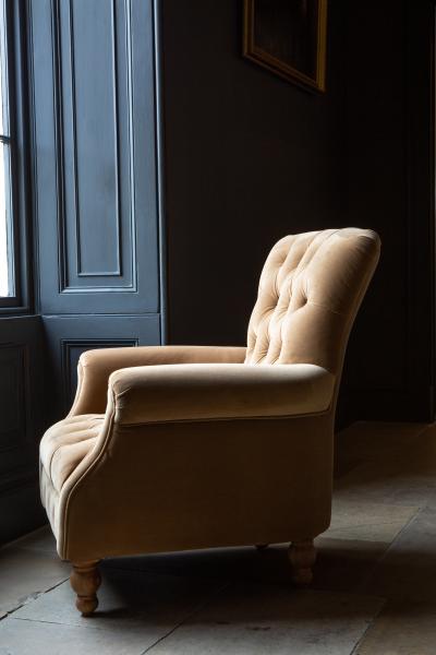 Donegal high back accent chair in Butterscotch velvet