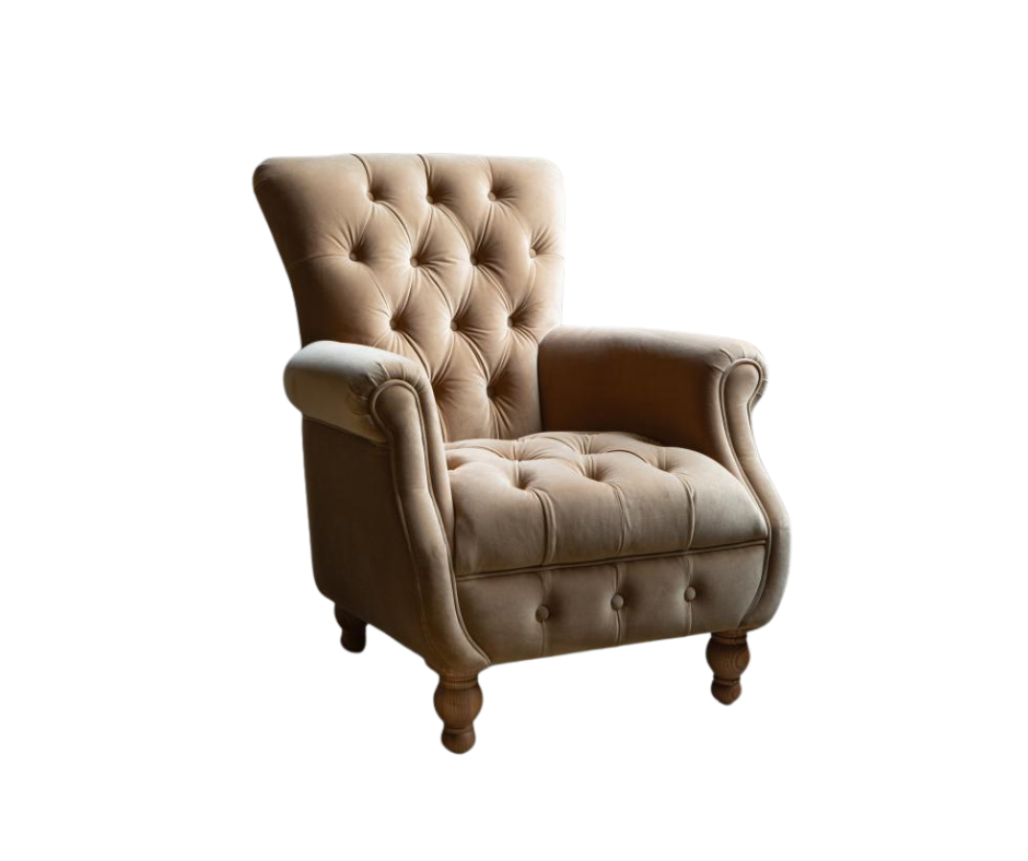 Donegal high back accent chair in Butterscotch velvet
