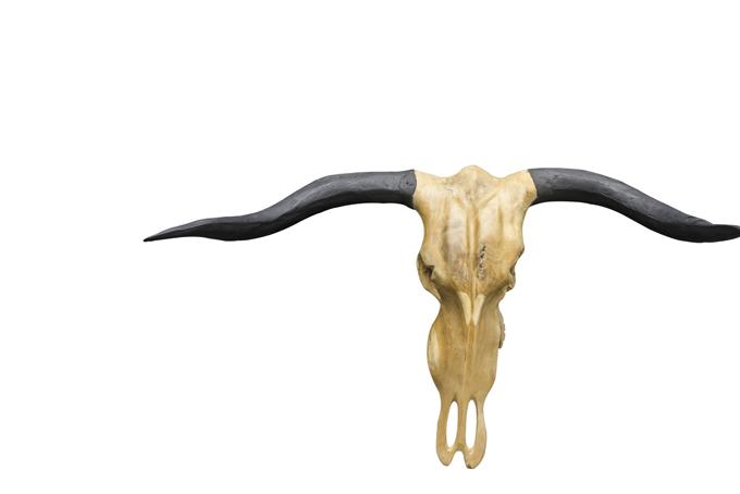 Vegan Hunting Trophy - Buffalo Head with Black Horns wall mounted sculpture