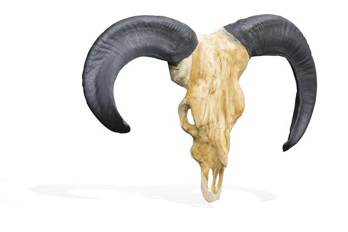 Vegan Hunting Trophy - Rams Head with Black Horns wall mounted sculpture