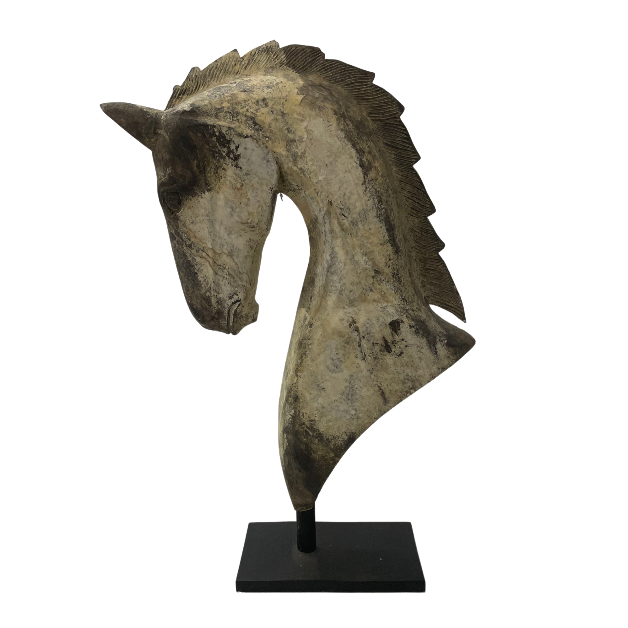 XL Paloma Horse head on black stand