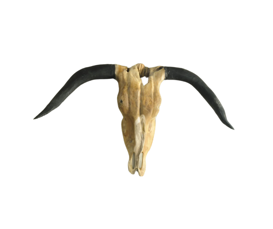 Vegan Hunting Trophy - Buffalo Head with Black Horns wall mounted sculpture