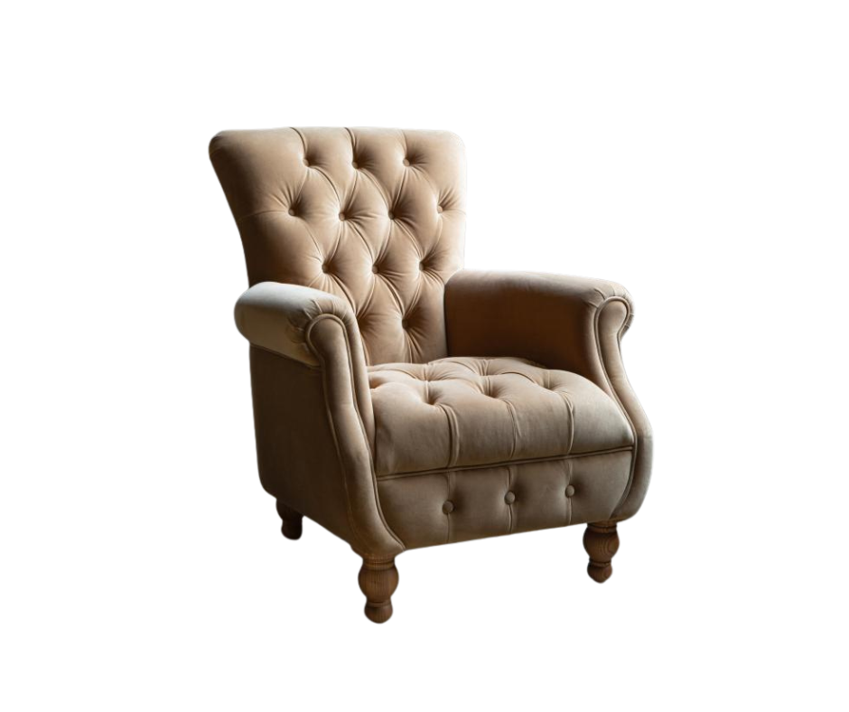 Donegal accent chair in Butterscotch velvet